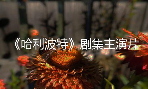 二季特剧集就成主演百万利波富翁第片酬曝光哈